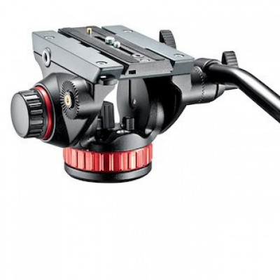 Cabeças